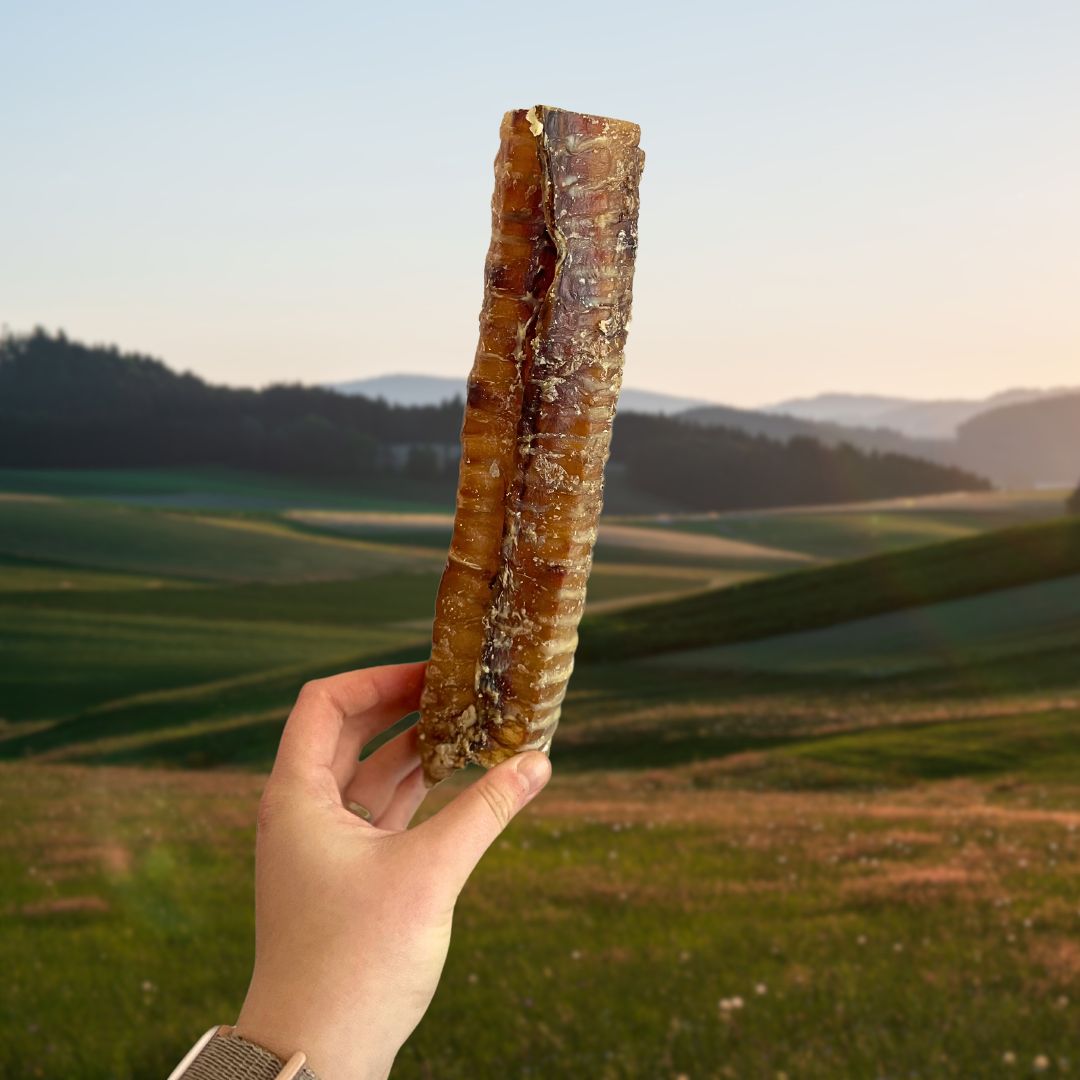 Beef Trachea 24cm