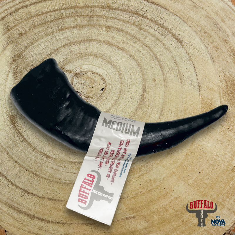 Buffalo Horns