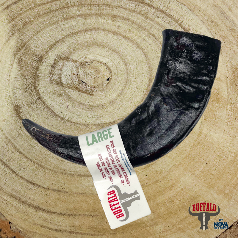Buffalo Horns