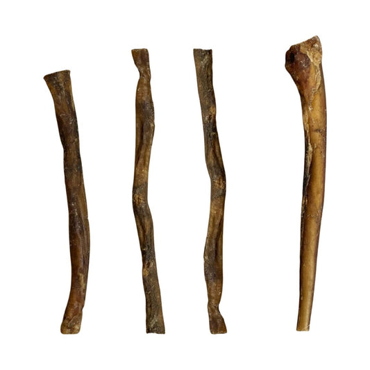 Buffalo Pizzle (approx 24cm)