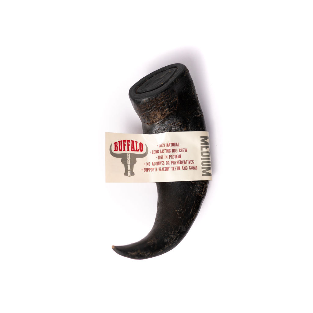 Buffalo Horns