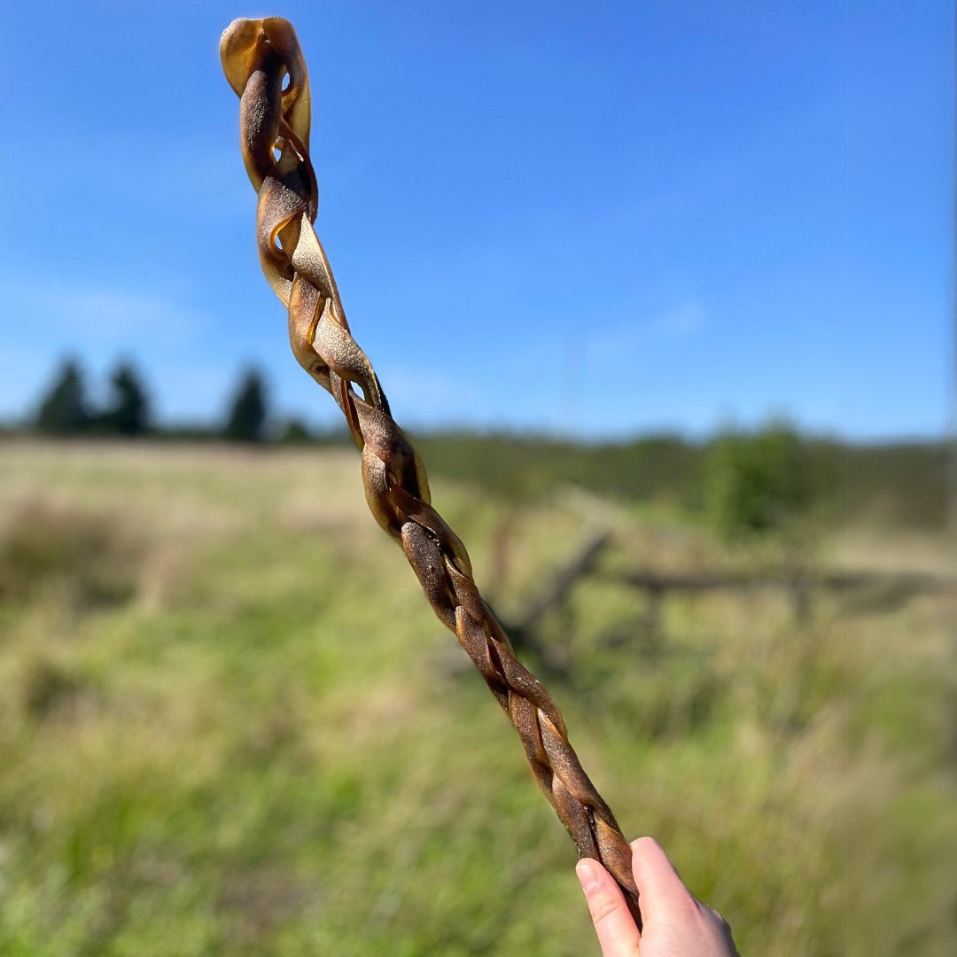 X-Large Camel Skins (Braided)