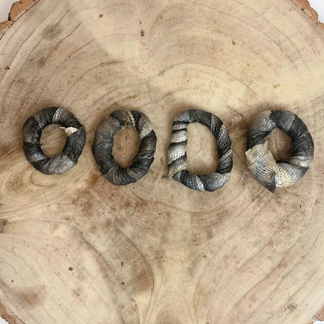 Fish Skin Donuts (5)