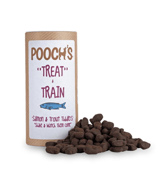 Pooch's Train & Treat