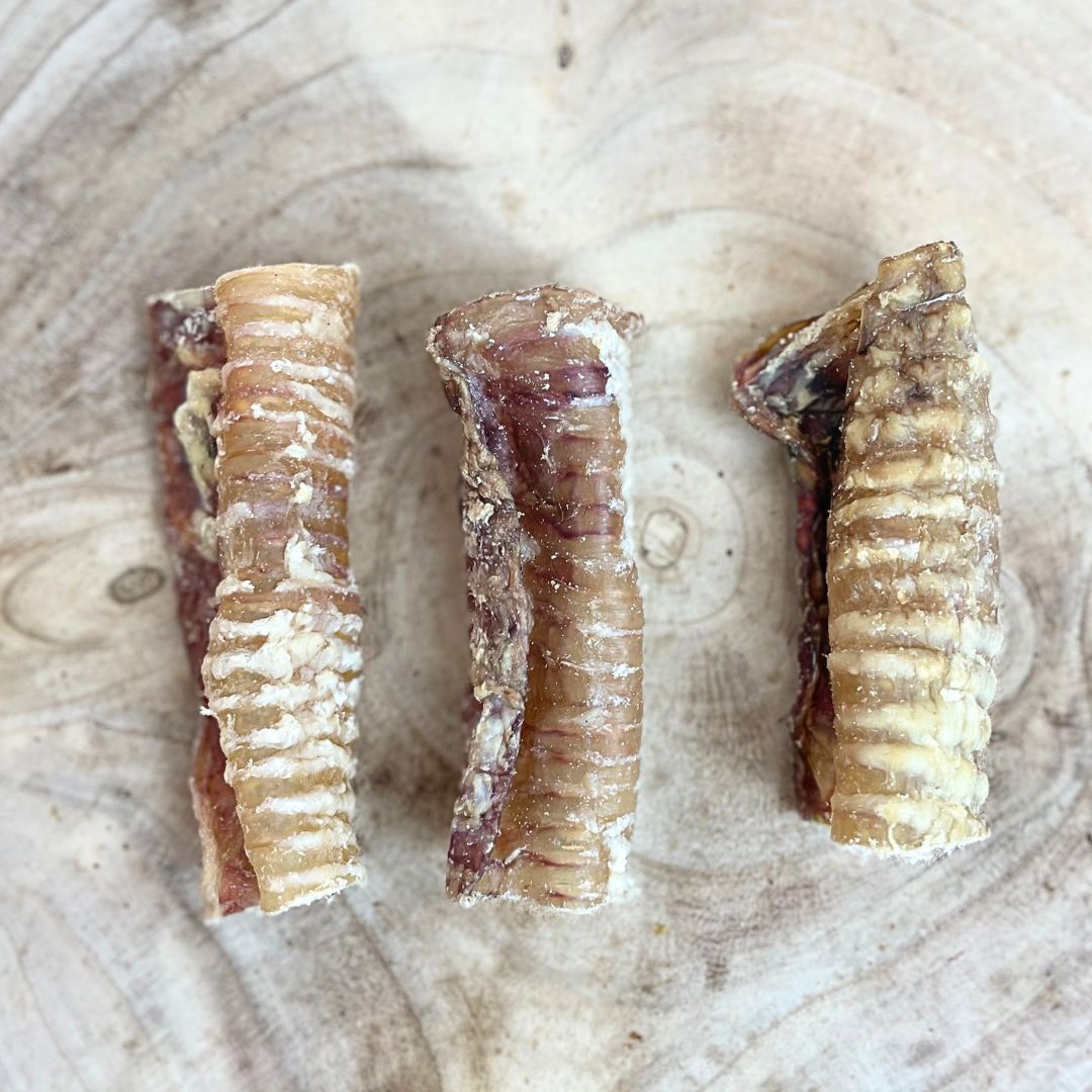 Beef Trachea (Single)