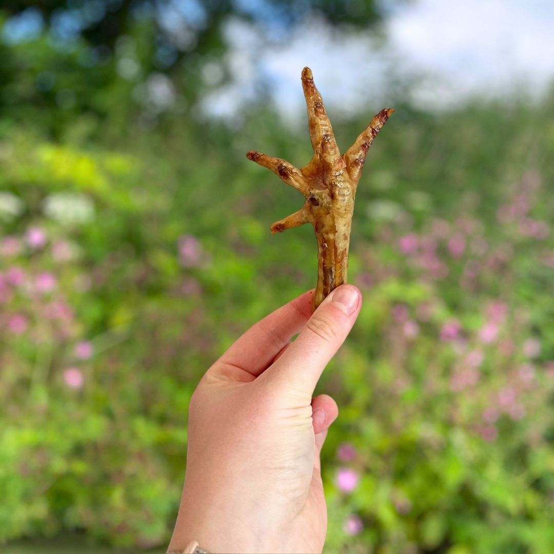 Dried Chicken Feet (10)