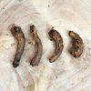 Chicken Necks 1KG
