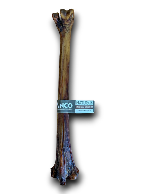 Ostrich Long Bone