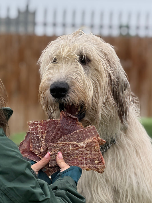 Beef Flatties (100g)